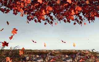 2025 Economic Outlook: what their 'uncertainty' really means for you